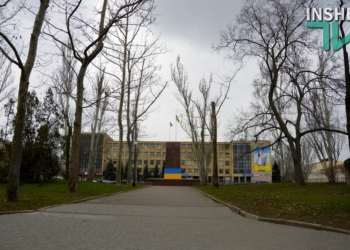 “С платанами в Николаеве никто бороться не будет”, – начальник управления экологии ЖКХ Николаевского горсовета