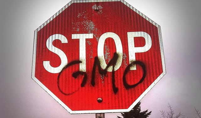 Польша и 18 стран ЕС ввели запрет на выращивание растений, содержащих ГМО