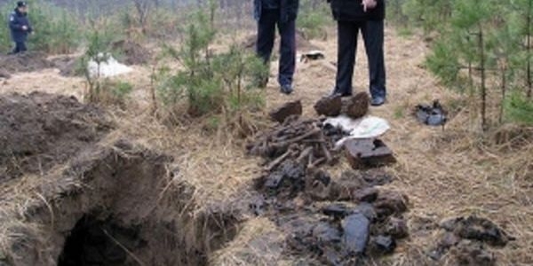 “Черные” археологи ограбили скифскую могилу