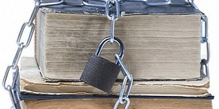 Основатель онлайн-библиотеки «ЛитМир» получил два года условно за нарушение авторских прав