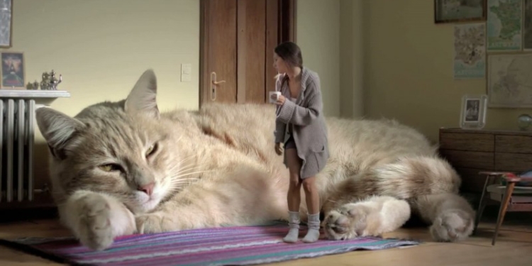 Пять стран без центрального отопления