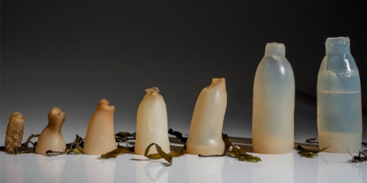 Создана «съедобная» бутылка