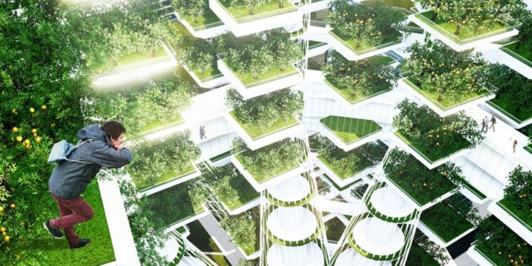 Фермы будущего будут…вертикальными. Как эта