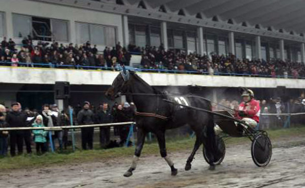 Снимается кино. Инженер ипподрома требовал взятку со съемочной группы