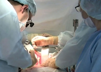 Пенсионерка проглотила изумруд, чтобы после ее смерти он не достался родным