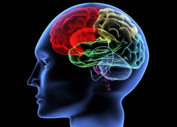 Британские ученые получили премию за изучение “химии памяти”