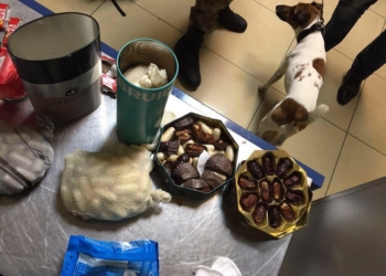 В результате масштабной операции МВД изъяло почти 19 кг кокаина