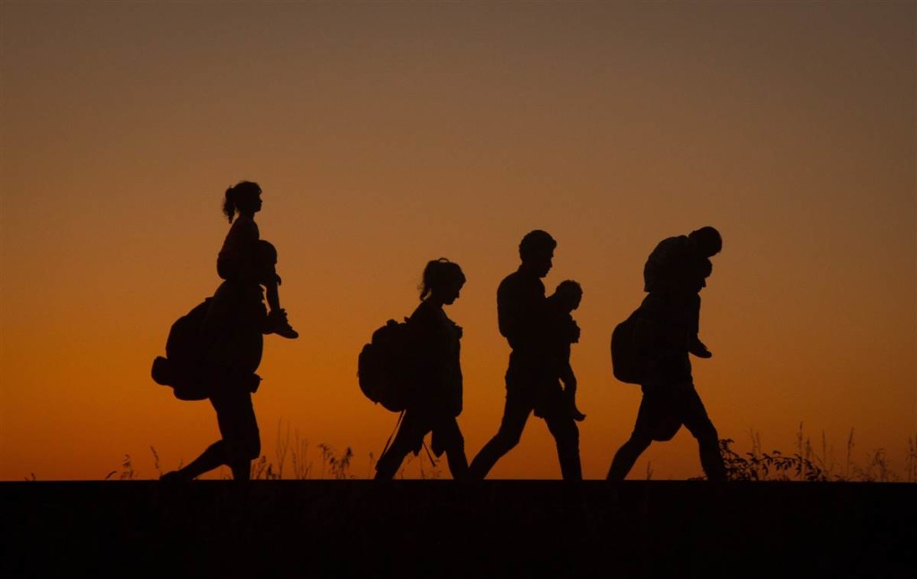 Во Львовской области задержали четверых нелегалов из Шри-Ланки и Сомали с малолетним ребенком 1