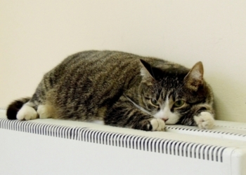 Власти Киева не хотят ждать до 15 апреля – отопление в столице могут отключить уже в ближайшие дни