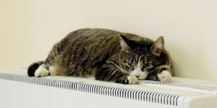 Власти Киева не хотят ждать до 15 апреля – отопление в столице могут отключить уже в ближайшие дни