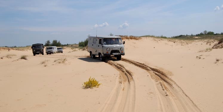 В Херсонской области из-за незаконной вырубки леса участились пылевые бури
