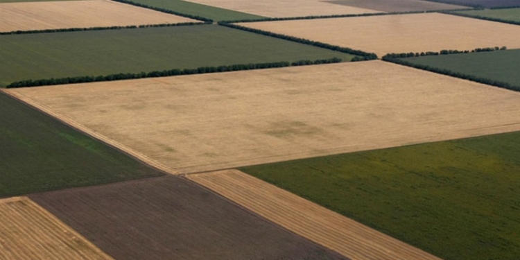 Украина должна ежегодно тратить 50 млрд.грн., чтобы сохранить плодородие почвы – эксперт