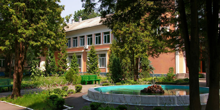 Госпиталь Минобороны переплатил за леченую купель почти треть миллиона