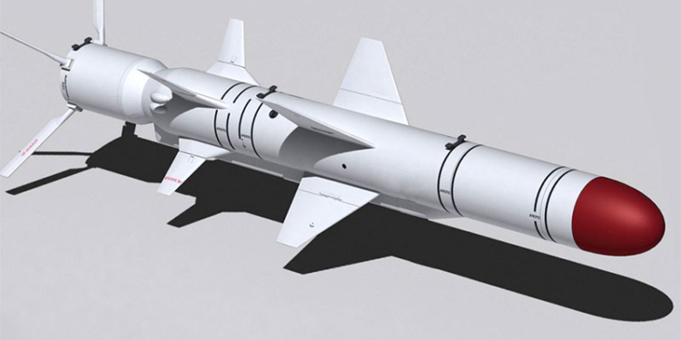 В Украине готовятся к первым испытаниям новейшей противокорабельной крылатой ракеты «Нептун»