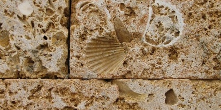 Жизнь или ракушечник: на трассе «Николаев-Одесса» двое в камуфляже, угрожая гранатой, опорожнили грузовик с камнем