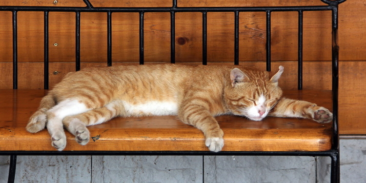 Минсоцполитики предлагает ввести сиесту в Украине на время жары