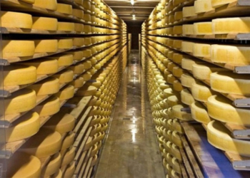 Баштанский сырзавод в 2015 получил 3,9 млн.грн. убытков