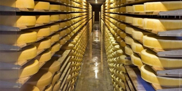 Баштанский сырзавод в 2015 получил 3,9 млн.грн. убытков