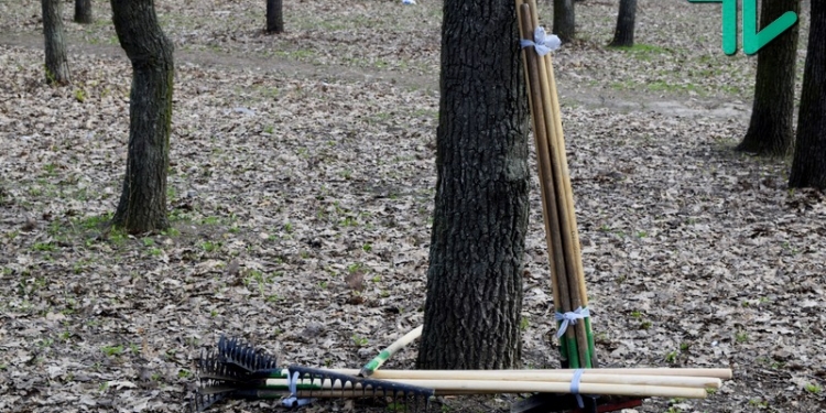 «Совместный труд – он объединяет»: когда мэр Николаева и депутат от «ОппоБлока» дружно машут лопатами