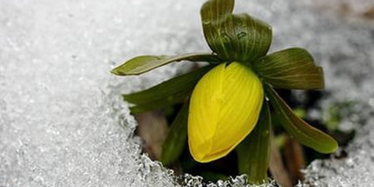 Сегодня по всей Украине ожидается потепление