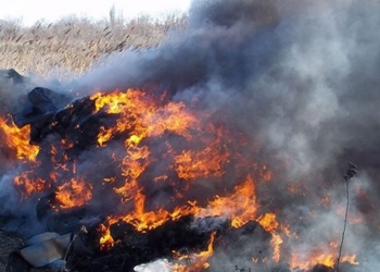 На Николаевщине активно горит камыш и трава – за сутки огонь «прошел» 500 кв.м