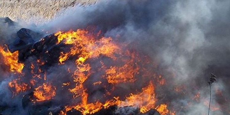 На Николаевщине активно горит камыш и трава – за сутки огонь «прошел» 500 кв.м