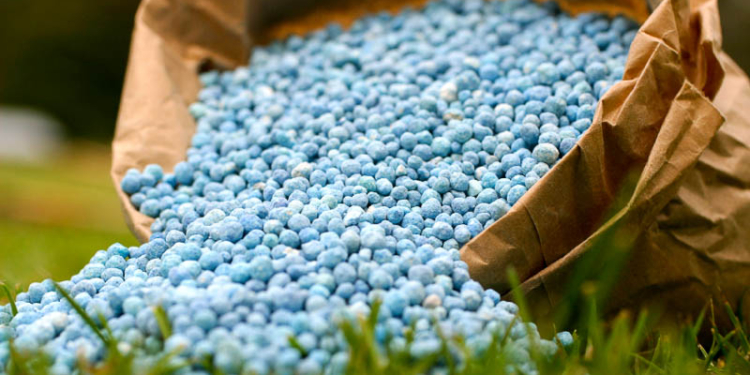 Применение удобрений в Николаевской области снизилось, пестицидов – выросло