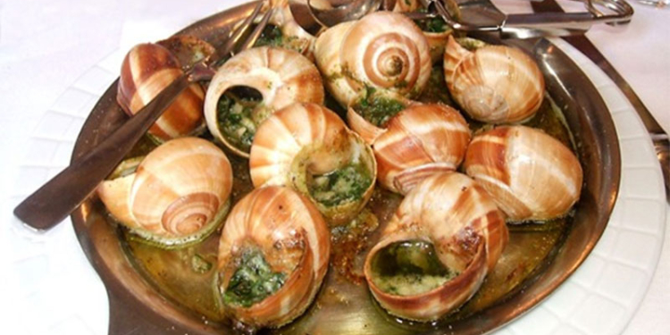 Фермер из Киевской области готовится экспортировать в Европу улиток