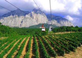 Захватчики Крыма взялись за распродажу Массандровских виноградников