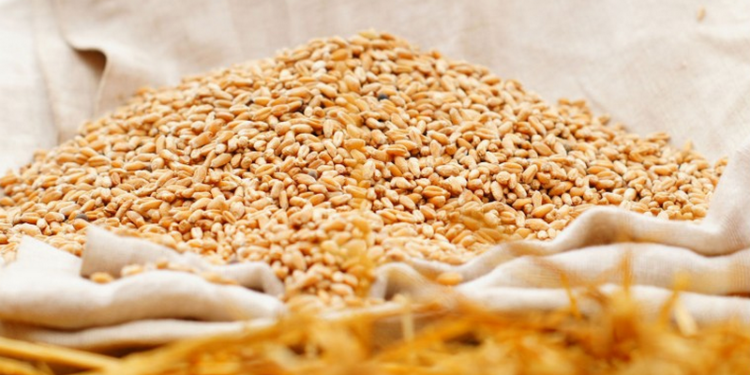 Результаты 2015 года николаевских аграриев: больше подсолнечника, меньше рапса. Инфографика