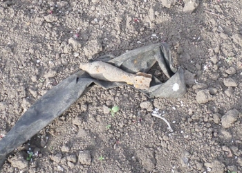 На Николаевщине в Ингульце мужчина выловил минометную мину спинингом