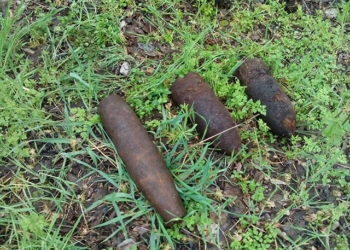 Николаевская область: группой пиротехнических работ уничтожено 5 боеприпасов времен прошлых войн