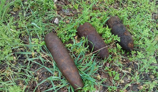 Николаевская область: группой пиротехнических работ уничтожено 5 боеприпасов времен прошлых войн