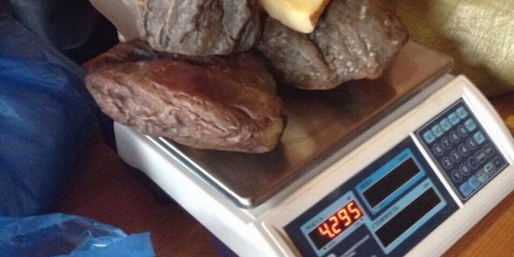 СБУ изъяла у скупщиков 115 кг янтаря: несколько камней весят более 1 кг, а один – более 2-х