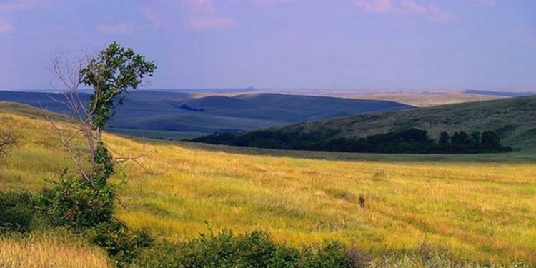 Экологи и волонтеры исследовали, сколько потерял природно-заповедный фонд Николаевской области