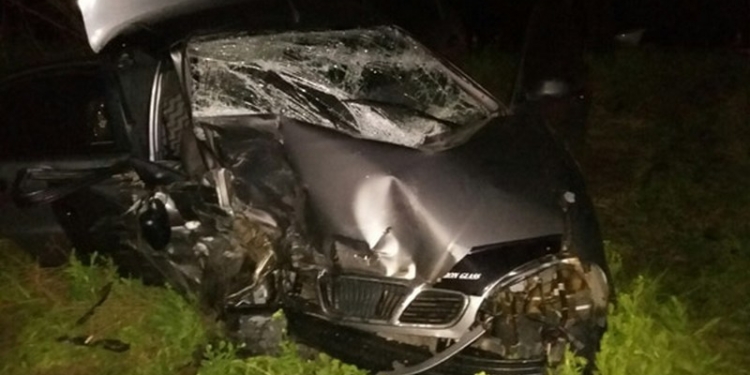 В Николаевской области в двух ДТП погибли двое человек, ещё четверо получили серьёзные травмы