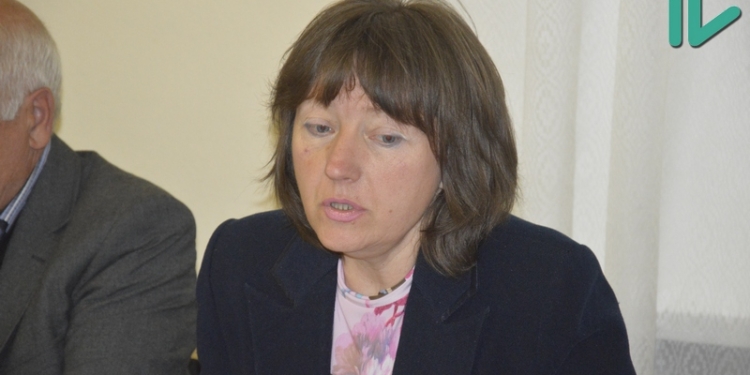 План зонирования города Николаева не соответствует Генплану – мэрия ведёт переговоры с киевским «Гипроградом» о доработке документа