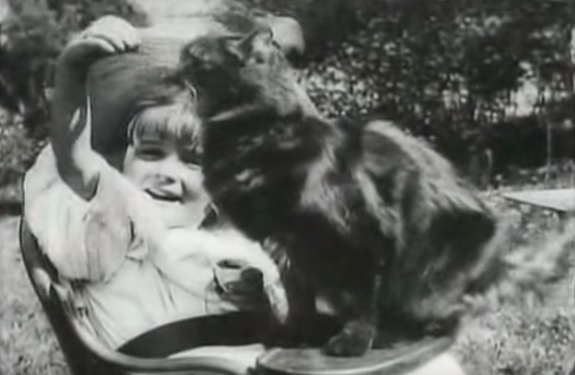 Ретро. Первое “видео с котиком” было снято в 1897 году