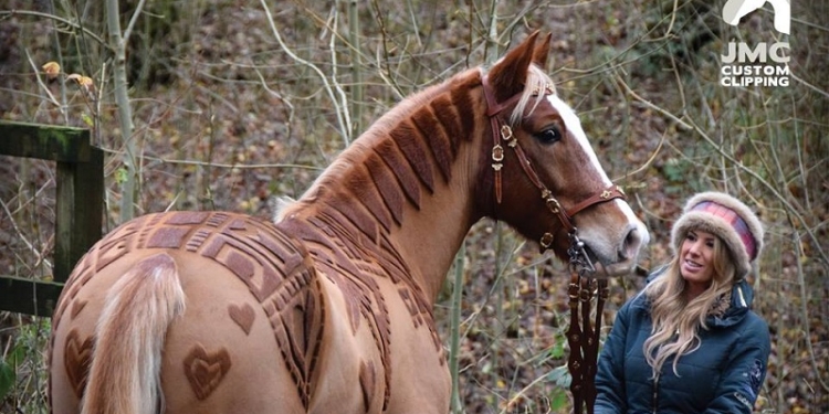 Художественная стрижка превратила лошадей в произведение искусства