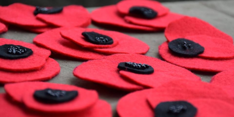 Красные маки, символ памяти, примирения и единства поколений, на главной площади Николаева мог сделать каждый желающий