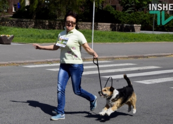«На старт, внимание и…»: В Николаеве прошел первый зоозабег