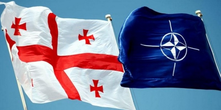 Турция предложила принять Грузию в НАТО без Плана действий по членству