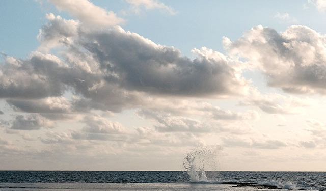 Израильские пилоты совершили экстренную посадку на море и доплыли до берега