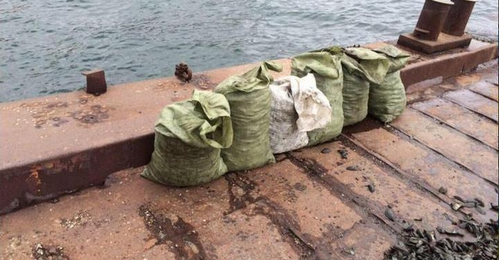 В Одесской области браконьеры мидию таскают мешками