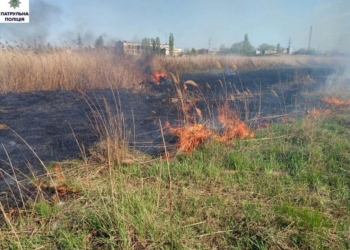 Патрульные Николаева помогли тушить пожар в парке «Лески»