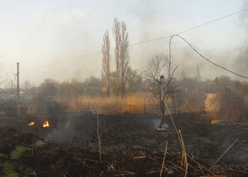 В Николаеве горящий камыш повредил линию электропередач