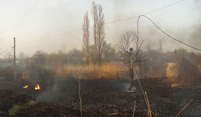 В Николаеве горящий камыш повредил линию электропередач