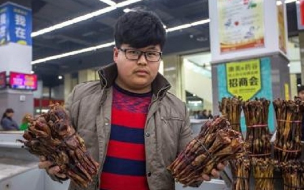 Кто чем лечится. В Китае огромной популярностью пользуется магазин сушеных гениталий