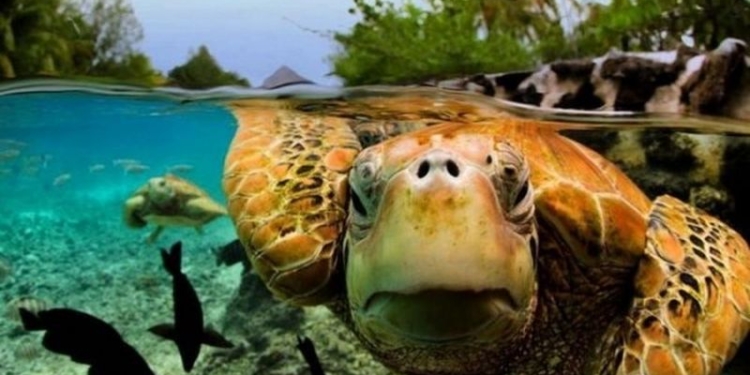 Райский остров Бора-Бора, каким вы его еще не видели