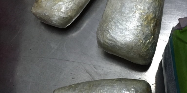 СБУ перекрыла контрабандный канал поставок кокаина в Украину